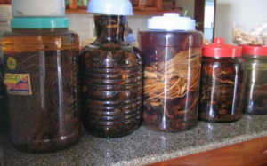 Lạm dụng rượu ngâm: Rước họa vào thân!